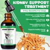 Kidney Support for Dogs - Kidney Support Supplement, Supports Immune,