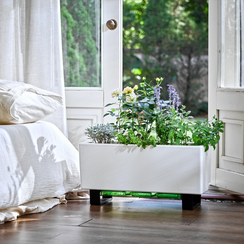 Glowpear Self-Watering Mini Bench Planter - 23.6" in Pot, Free