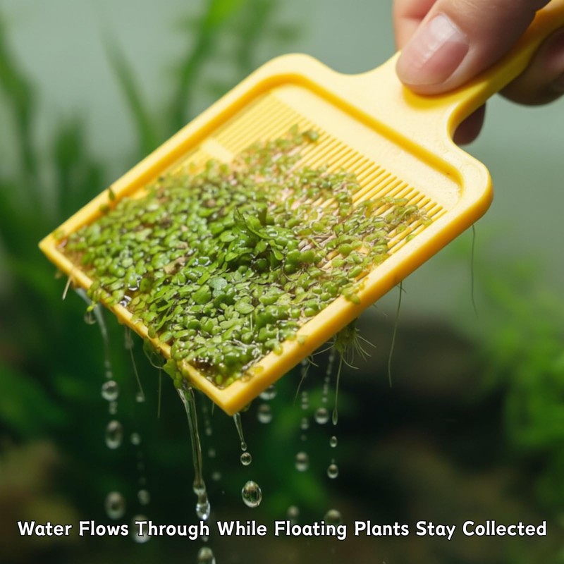 Duckweed Remover Tool for Aquarium, Floating Plant Skimmer