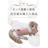 Mitsugu Mochimaru Diary Toy for Cats
