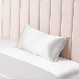 THXSilk 25 Momme Silk Pillowcase for Hair and Skin, Mulberry Silk Pillowcase, Hypoallergenic with Hidden Zip, Pure Silk on Both Sides