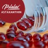 Pslalae|Astaxanthin Capsules |12mg|Astaxanthin|Cardiovascular|Energy|Immune System|60/120 Capsules - quantity: 60 Capsules