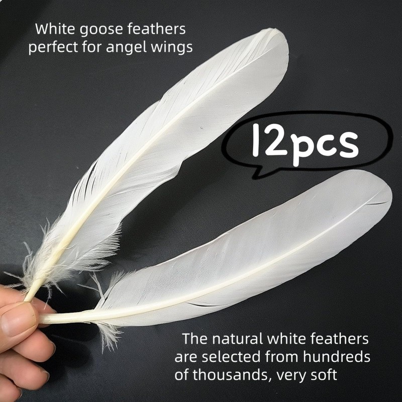 GYBZZR 12Pcs Natural Craft Feathers Long 8-10 Inch-Bulk Feathers for