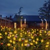 4 Pack Solar Garden Lights, 10 LED Rose Shaped Firefly