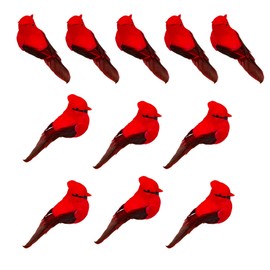 YCHTEWY-Cardinal Clip On Christmas Tree Ornament Decorations - Set of 12 Pieces Size is 2.8" (A)