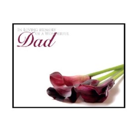 ShredAstic Florist Message cards Dad large 12.5 x 9cm Funeral Memorial - Clear cello self seal bag (I. In Loving Memory of a Dear Dad, 3 Cards / 3 Cello Bags)