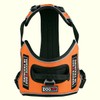 Dogline Quest No-Pull Dog Harness with 3D Rubber Service Dog