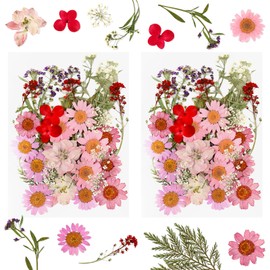33PCS Real Dried Pressed Flowers Dried Florals Natural Herbs Kit for Resin Mold Scrapbooking DIY Art Crafts, Jewelry Molds, Candle, Soap Making, Mother's Day Birthday Gift (Pink)