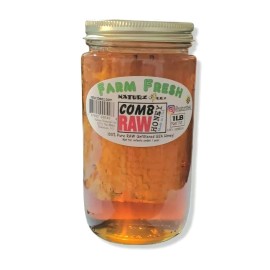 NATURZ BEEZ PURE RAW GALLBERRY HONEYCOMB 1lb 454g 16oz 100% PURE RAW UNFILTERED HONEY COMB