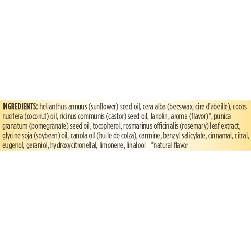 Burt's Bees Lip Balm, Moisturizing Lip Care, for All Day