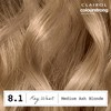 CLAIROL COLOUR STRONG PERMANENT HAIR DYE - 8.1 MEDIUM ASH