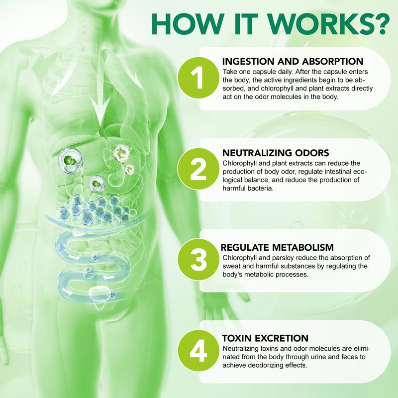 Chlorophyll Body Deodorizing Supplement for Digestion/Gut Health Support, Internal Deodorant