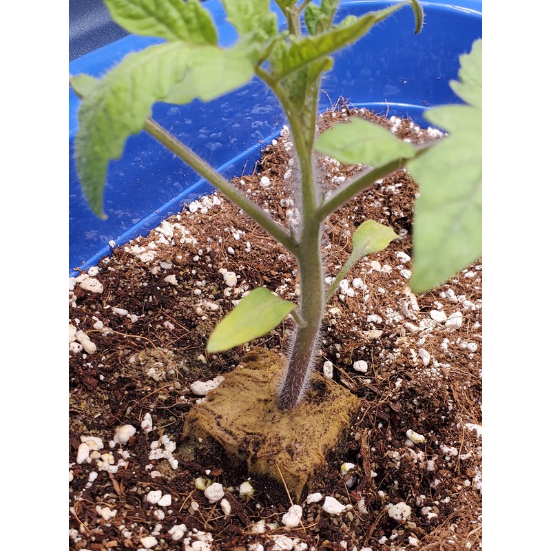 5QT Organic Perlite Horticultural Soil Amendment for Plants and Enhanced