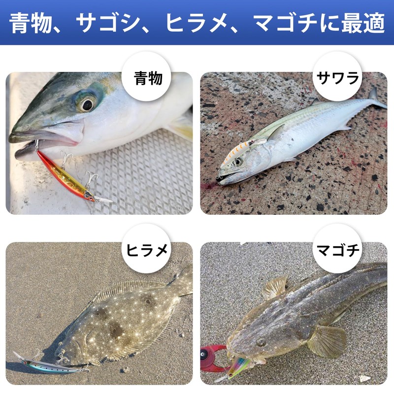 LITTMA SAGOSHI Professional Fishing Lure - Fast Sinking Minnow for