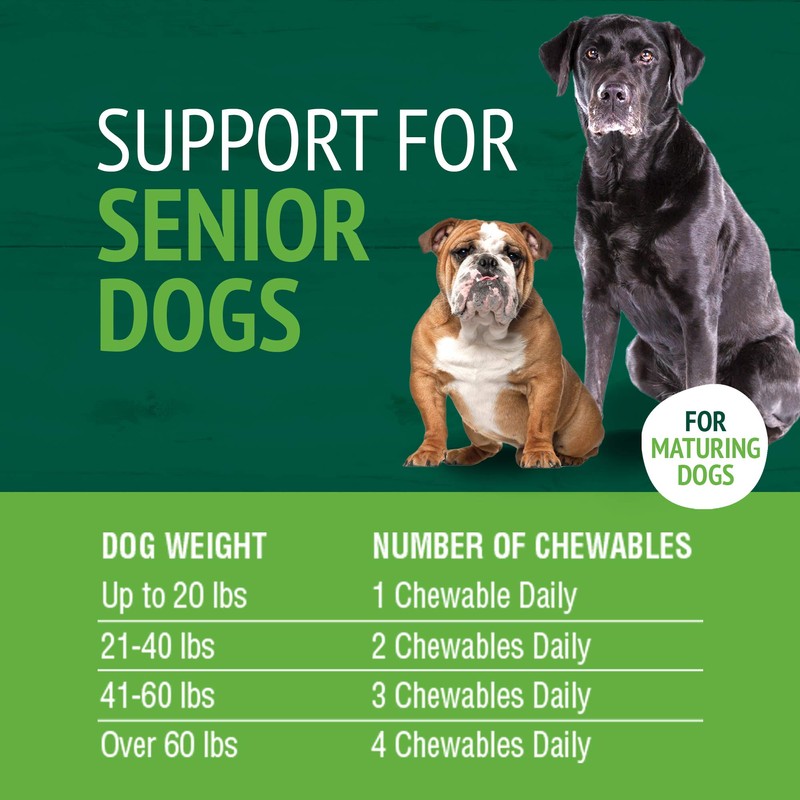 Petnc Senior Multi Chewables (60 Count), Daily Dog Multivitamin &