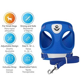 MASCRETTA Set de Correa y Arnés para Perro Chico o Gato con diseño cómodo Que no daña el Cuello y Pecho de tu Mascota. Pechera para Perro Chico con Correa de Paseo Resistente. Dog Harness (Azul, M)
