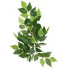 Exo Terra Silk Terrarium Plant, Small, Ficus
