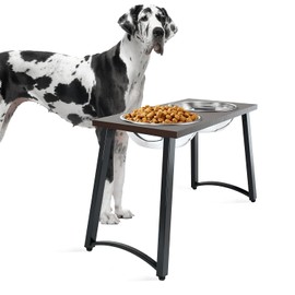 Cuencos elevados para perros extra grandes con 2 cuencos de acero inoxidable XL para perros -3000 ml (100 oz), soporte elevado para cuencos para perros de 14 pulgadas de alto, cuencos para