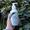Lycon Aceite Calmante De Árbol De Té Con Aceite De