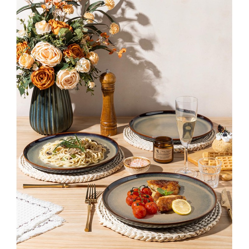 theterra Dinner Plates Set of 6, 10.5 Inch Ceramic Dinner