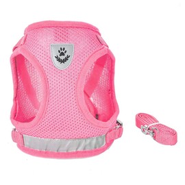 FeiLuo Dog Harness and Lead Set, Soft Mesh Padded Harness for Puppies and Cats, Reflective, Adjustable, Breathable Chest Harness for Walking, Running, Training, XS, pink
