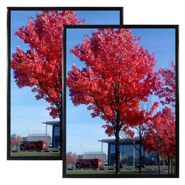 24x36 Picture Frame Black Set of 2 Display Posters 24x36 Inch Poster Frame Display Pictures 24x36 Rectangular Poster Picture Frame,Black,2 Pack