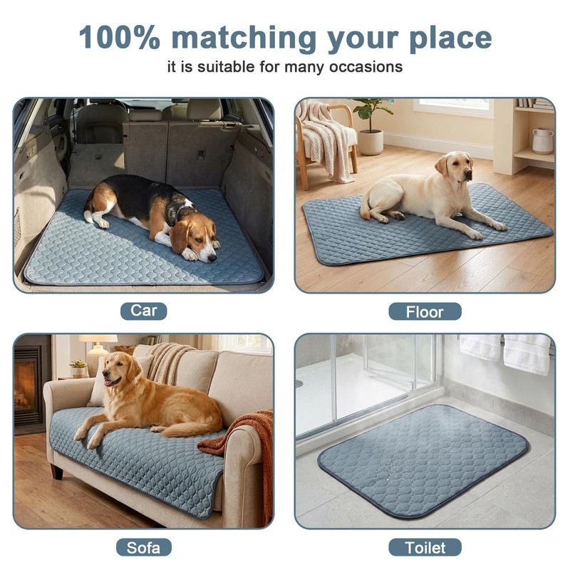 Washable Pee Pads for Dogs, 2 Pack Absorbent Reusable Training