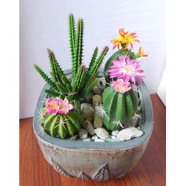 Artificial Flowers Set of 4 Three Different Succulents Plants Desert Cactus Realistic Flower Arrangements Craft Art Decor Plant for Indoor Outdoor Decoration