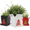 3D Printed Planter Chinese Takeout Box - Set of 3
