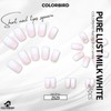 COLORBIRD Z629 Nail Tips, Short, 24 Pieces, White, Nail Tips,