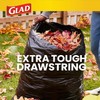 More buying choices for Glad 39 Gallon Quick Tie Lawn
