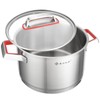 NANFANG BROTHERS 3 Quart Stainless Steel Stock Pot with Glass