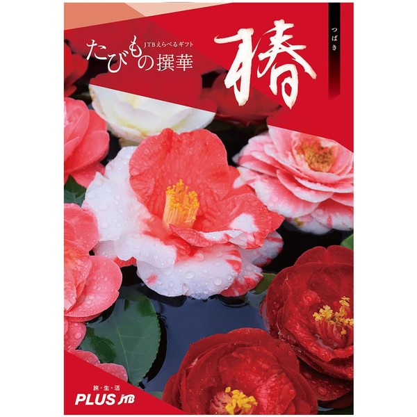 JTB Catalog Gift Tabimono Senga <Camellia (Tsubaki)> Travel & Experience 10,600 Yen Course [Otoshi no Otoshi "Celebration", Bowknot]