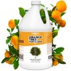Orange Tree Fertilizer, Complete Liquid Orange Tree Citrus Plant Food,