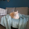 Green Fluffy Fleece Sherpa Sofa Throws Single Blanket, Warm Thick