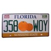 OPO 10 - USA Car License Plate - Metal Replica
