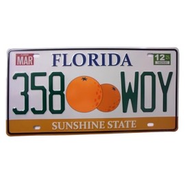 OPO 10 - USA Car License Plate - Metal Replica Florida (87)