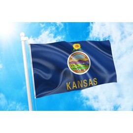 DMSE Kansas State Flag 3X5 Ft Foot 100% Polyester 100D Flag UV Resistant