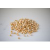 Amish Country Popcorn | 25 lb Bag | Mushroom Popcorn