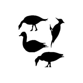 Woodcraft Project Paper Plan to Build Bird Family Shadow - Material Not Included