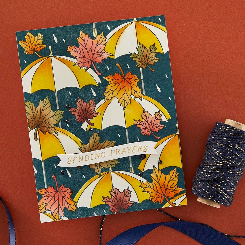 Spellbinders Autumn Rain BetterPress Bundle Stencil, Metal