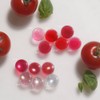 pov Forb Tomato Magnetic Gel Glitter Gel Single Item /