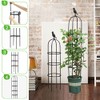 6ft Garden Obelisk Trellis for Climbing Plants-Rustproof Metal Pipe with