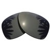 Polarized Replacement Lenses for RB3025 62mm - Black