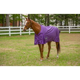 TuffRider 1680 D Super Comfy Winter Turnout Blanket Medium Weight 200 GSM Standard Neck- Purple- 72