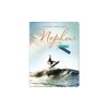 Avant Garde Studios Birthday Card Nephew, Surfing - 8 x