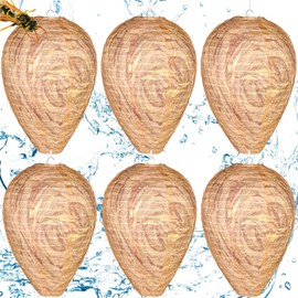 Pack of 6 Dummy Wasp Nest, Weatherproof, Hornet Nest Dummy for Home and Garden, Outdoors, Deterrent for Hornets, Yellow Jackets