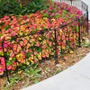 SCENDOR 5 Pack Decorative Fence Metal Garden Fence 16in x
