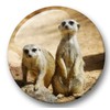 Merchandise for Fans Meerkat Fridge Magnets 02 Large for Memo