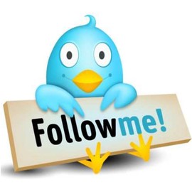 4x8x2 Himalayan Salt Plates